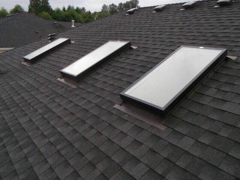 Shingle roof with skylights