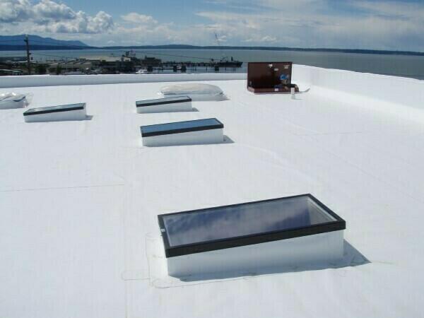 TPO with Skylights